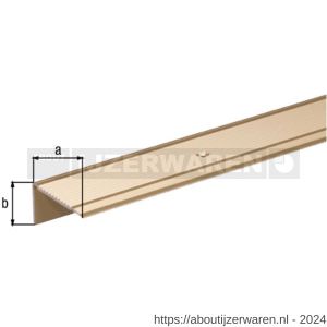 GAH Alberts trapbeschermingslijst geboord aluminium zandkleur geeloxeerd 43x23 mm 1 m SB - W51501513 - afbeelding 2