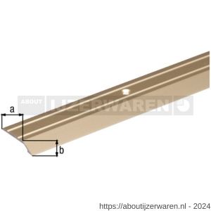 GAH Alberts compensatieprofiel geboord aluminium zilver 30x4 mm 0,9 m SB - W51500667 - afbeelding 2