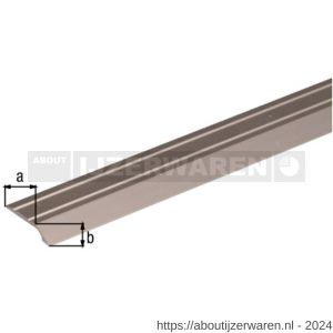 GAH Alberts compensatieprofiel zelfklevend aluminium RVS geeloxeerd 39x8 mm 0,9 m SB - W51500665 - afbeelding 2