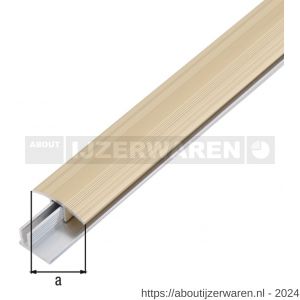 GAH Alberts overgangsprofiel Duo aluminium zand geeloxeerd 34 mm 1 m SB - W51501575 - afbeelding 2