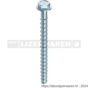 Heco Multi-Monti SS schroefanker 14,0x110 mm SW 17 zeskantkop met aangeperste ring verzinkt blauw A2K 25 stuks VARIANTA verpakking - W50802051 - afbeelding 1