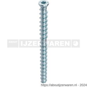 Heco Multi-Monti TC schroefanker 12,0x160 mm MMS-TC TimberConnect T-Drive T 50 verzinkt blauw A2K 25 stuks VARIANTA verpakking - W50801980 - afbeelding 1