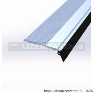 Ellen slijtdorpel aluminium Threshold Seal N7 100 cm - W51010350 - afbeelding 1
