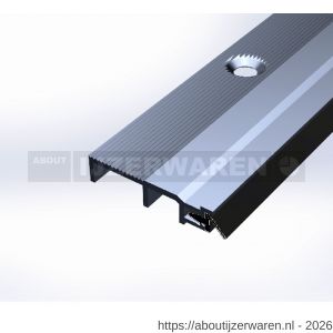 Ellen slijtdorpel profiel ARP-5 300 cm - W51010096 - afbeelding 1