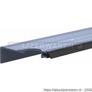 Ellen slijtdorpel profiel Threshold Seal R6 100 cm - W51010348 - afbeelding 1