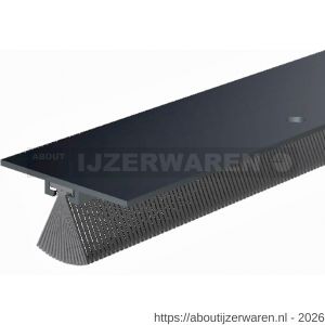 Ellen dorpelprofiel met borstel aluminium DBS 300 cm - W51010103 - afbeelding 1