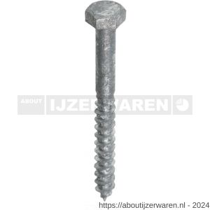 ASF golfplaatbout DIN 571 7x60 mm thermisch verzinkt - W40810145 - afbeelding 1