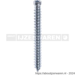 Steelies Ultimate beton-kozijnschroef 7,5x72 mm cilinderkop Torx T 25 verzinkt - W40860984 - afbeelding 1