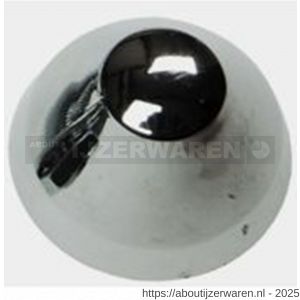 ASF afdekkap closet diameter 43 mm M12 SW19 chroom - W40824337 - afbeelding 1