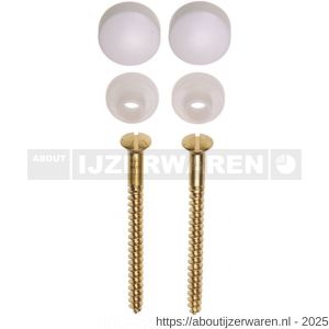 FISI closet toilet bevestigingsset DIN 95 5.5x60 mm messing plug en afdekkap wit - W40896512 - afbeelding 1