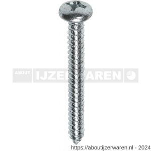 ASF plaatschroef DIN 7981C-H 5.5x13 mm Phillips PH 3 RVS A4 - W40822543 - afbeelding 1