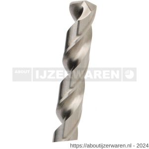 Diager HSS G Pro Grounded staalboor 4.2 mm dubbele punt set 10 stuks - W40877762 - afbeelding 2