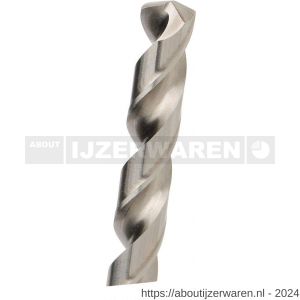 Diager HSS Pro staalboor 4.0x75 mm - W40877954 - afbeelding 2