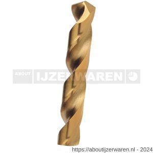 Diager HSS TIN staalboor 7.0x109 mm - W40877879 - afbeelding 2