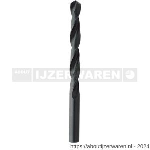 Diager HSS Standaard staalborenset 10 stuks 1-10 mm - W40877190 - afbeelding 1