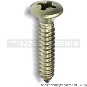 ASF plaatschroef DIN 7983C-H 2.9x19 mm Phillips PH 1 RVS A2 - W40823569 - afbeelding 1