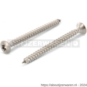 Herag spaanplaatschroef 3,5x20 mm lenskop Torx T 10 RVS A2 - W40882430 - afbeelding 1