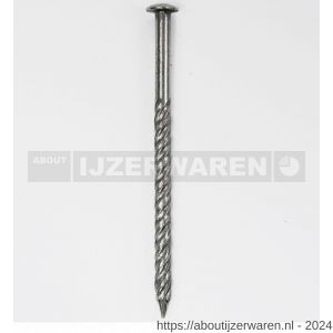 HJZ schroefnagel 2.5x25 mm bombe kop RVS A2 1 kg - W40870228 - afbeelding 1