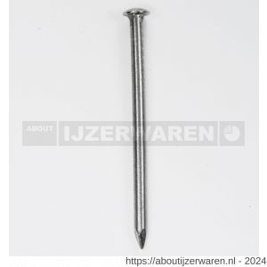 HJZ Profi nagel 2.4x45 mm bombe kop RVS A2 - W40870066 - afbeelding 1