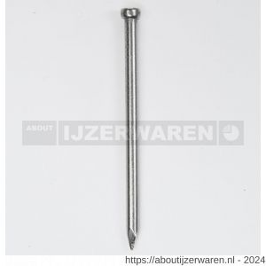 HJZ Profi nagel 2.4x45 mm verloren kop RVS A2 - W40870168 - afbeelding 1