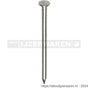 HJZ nagel 3.0x65 mm bombe kop RVS A2 1 kg - W40870061 - afbeelding 1