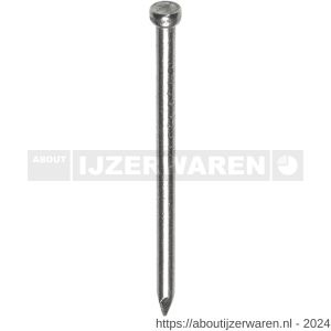 Herag draadnagel 2,7x55 mm verloren kop verzinkt - W40882337 - afbeelding 1