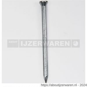 HJZ nagel 2.5x25 mm plat-conisch kop verzinkt - W40870253 - afbeelding 1