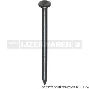 HJZ nagel 3.0x40 mm bolverzonken kop blauw 1 kg - W40870097 - afbeelding 1