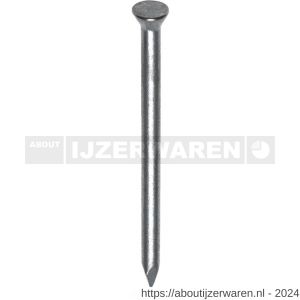 HJZ nagel 2.5x40 mm plat-conisch kop blauw 1 kg - W40870290 - afbeelding 1