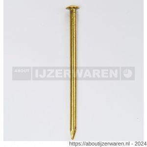 HJZ Profi nagel 1.5x20 mm bombe kop messing - W40870021 - afbeelding 1