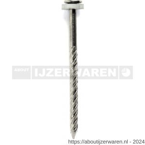 HJZ golfplaatnagel 4.0x65 mm platte kop A2 neopreen ring 11 mm - W40870019 - afbeelding 1