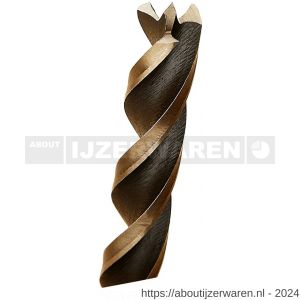 Diager 4wood Pro houtspiraalboor 12x151 mm boorpunt - W40877660 - afbeelding 2