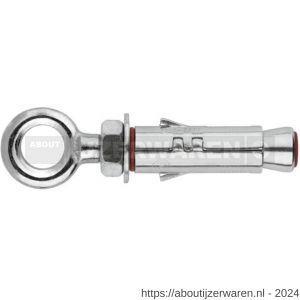 Index HI-AR keilanker met oogbout M10x65 mm diameter 16 mm verzinkt - W40900549 - afbeelding 1