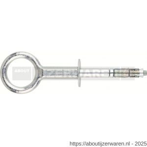Index AN-50 CT schroefoog gelast zwaar M10x210 mm diameter 16 mm - W40901784 - afbeelding 1