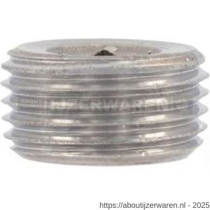 ASF sluitschroef DIN 906 1/4 inch binnenzeskant conisch RVS A2 - W40824195 - afbeelding 1