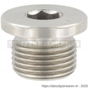 ASF sluitschroef met flens DIN 908 1/8 inch binnenzeskant RVS A2 - W40824238 - afbeelding 1