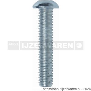 ASF laagbolkopschroef ISO7380-1 M6x40 mm RVS A4 - W40816336 - afbeelding 1