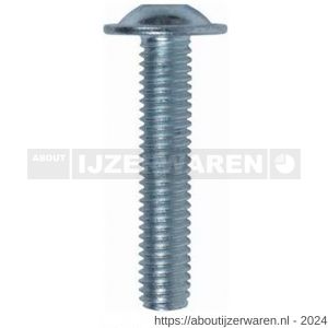 ASF laagbolkopschroef ISO7380-2 M6x20 mm RVS A2 - W40816608 - afbeelding 1