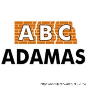 ABC Adamas spiraalanker 6.0x1.000 mm RVS A4 - W40875027 - afbeelding 2