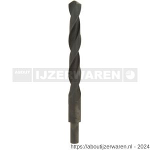 REX Economy spiraalboor standaard HSS-R 22,0 mm afgedraaid op 13 mm - W40840713 - afbeelding 1