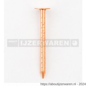 HJZ asfaltnagel gekartelde schacht 2.8x25 mm plattekop roodkoper 1 kg - W40870006 - afbeelding 1