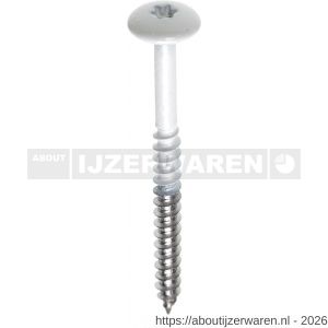 Fisinox kleurkopschroef 4,8x25 mm Torx TX 20 RVS A4 AISI 316 Ki-kern 161 ivoor - W40883431 - afbeelding 1