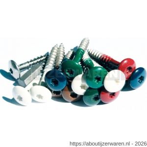 Fisinox kleurkopschroef 4,8x25 mm Torx TX 20 RVS A4 AISI 316 Ki-kern 161 ivoor - W40883431 - afbeelding 2