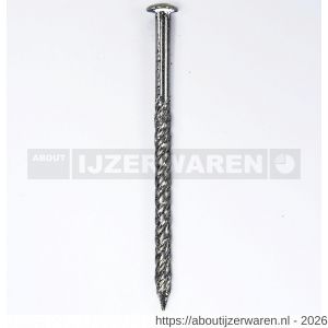 HJZ schroefnagel 2.5x30 mm bombe kop RVS A2 1 kg - W40870229 - afbeelding 1