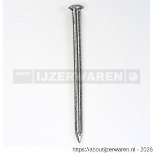 HJZ Profi nagel 1.6x25 mm bombe kop RVS A2 - W40870063 - afbeelding 1