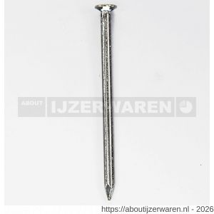HJZ Profi nagel 1.6x25 mm platte geruite kop RVS A2 - W40870137 - afbeelding 1