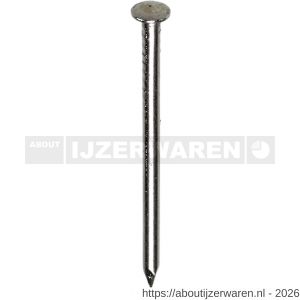 HJZ nagel 1.8x30 mm bombe kop RVS A2 1 kg - W40870054 - afbeelding 1