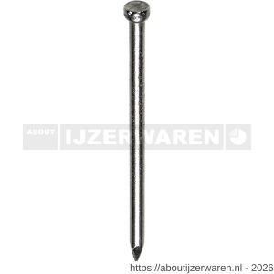 HJZ nagel 2.4x50 mm verloren kop RVS A2 1 kg - W40870160 - afbeelding 1