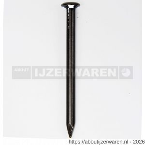HJZ Profi nagel 3.0x50 mm bolverzonken kop blauw - W40870283 - afbeelding 1