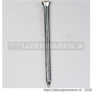HJZ nagel 2.0x30 mm plat-conisch kop verzinkt - W40870252 - afbeelding 1